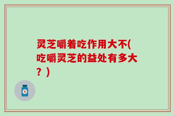 灵芝嚼着吃作用大不(吃嚼灵芝的益处有多大？)