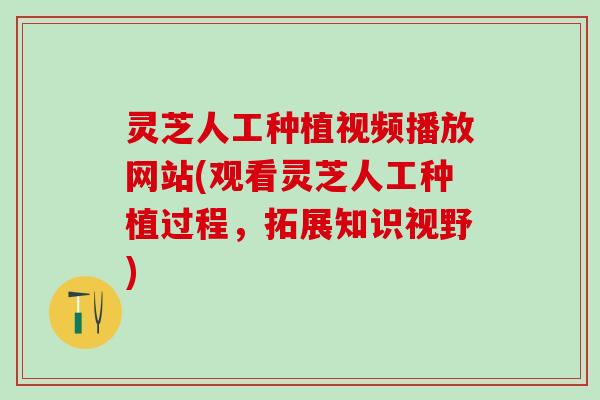 灵芝人工种植视频播放网站(观看灵芝人工种植过程，拓展知识视野)