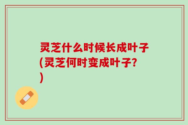 灵芝什么时候长成叶子(灵芝何时变成叶子？)