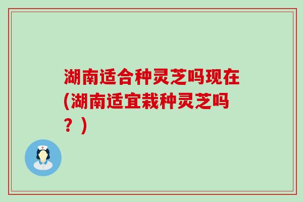 湖南适合种灵芝吗现在(湖南适宜栽种灵芝吗？)