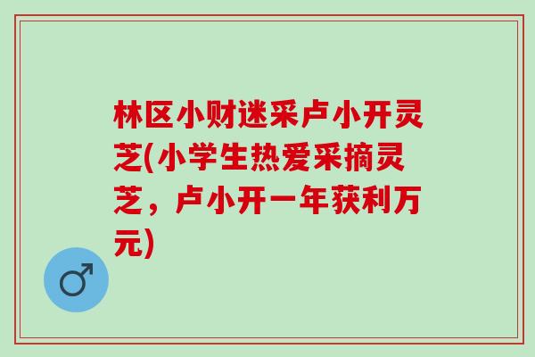 林区小财迷采卢小开灵芝(小学生热爱采摘灵芝，卢小开一年获利万元)