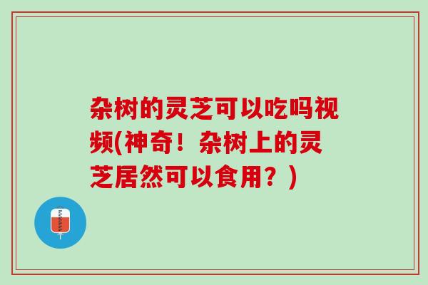 杂树的灵芝可以吃吗视频(神奇！杂树上的灵芝居然可以食用？)