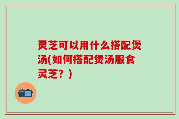 灵芝可以用什么搭配煲汤(如何搭配煲汤服食灵芝？)