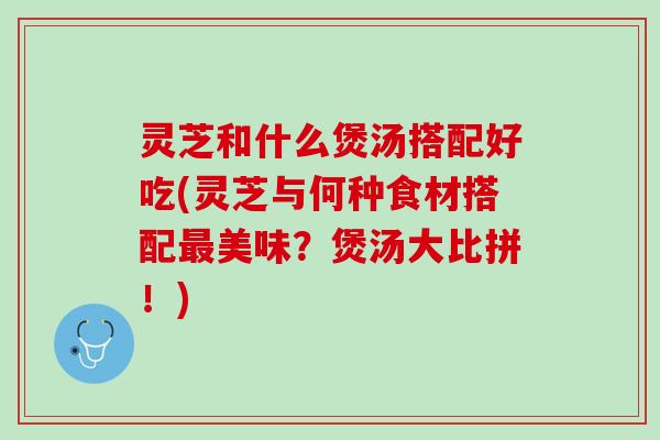 灵芝和什么煲汤搭配好吃(灵芝与何种食材搭配最美味？煲汤大比拼！)