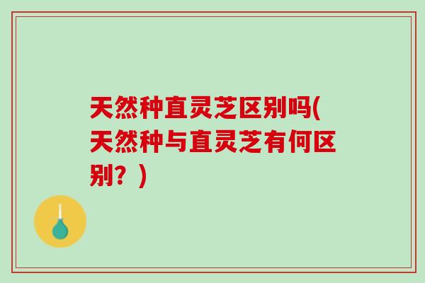 天然种直灵芝区别吗(天然种与直灵芝有何区别？)