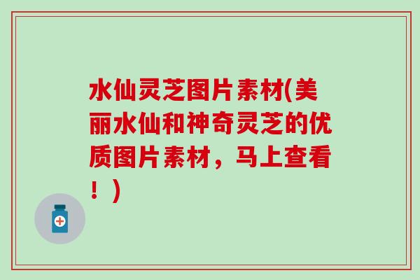 水仙灵芝图片素材(美丽水仙和神奇灵芝的优质图片素材,马上查看!) 水仙灵芝图片素材(美丽水仙和神奇灵芝的优质图片素材,马上查看!)