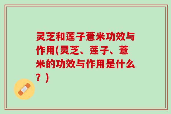 灵芝和莲子薏米功效与作用(灵芝、莲子、薏米的功效与作用是什么？)