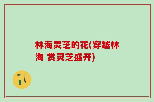 林海灵芝的花(穿越林海 赏灵芝盛开)