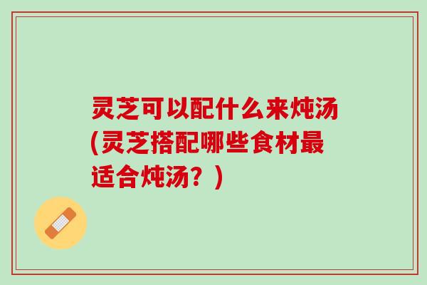 灵芝可以配什么来炖汤(灵芝搭配哪些食材最适合炖汤？)