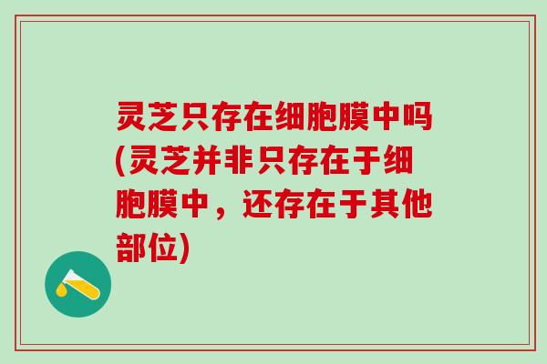 灵芝只存在细胞膜中吗(灵芝并非只存在于细胞膜中，还存在于其他部位)