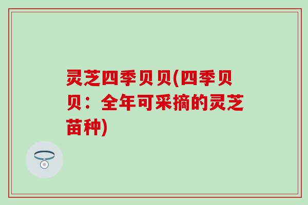 灵芝四季贝贝(四季贝贝：全年可采摘的灵芝苗种)
