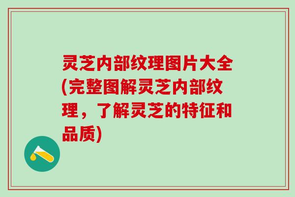 灵芝内部纹理图片大全(完整图解灵芝内部纹理，了解灵芝的特征和品质)