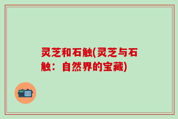灵芝和石触(灵芝与石触：自然界的宝藏)