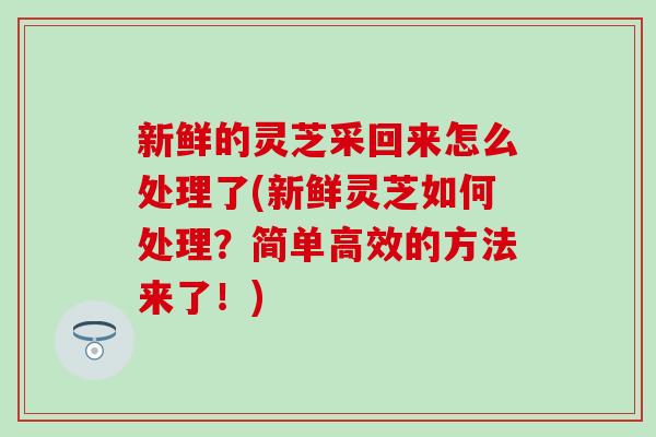 新鲜的灵芝采回来怎么处理了(新鲜灵芝如何处理?简单高效的方法来了!) 新鲜的灵芝采回来怎么处理了(新鲜灵芝如何处理?简单高效的方法来了!)