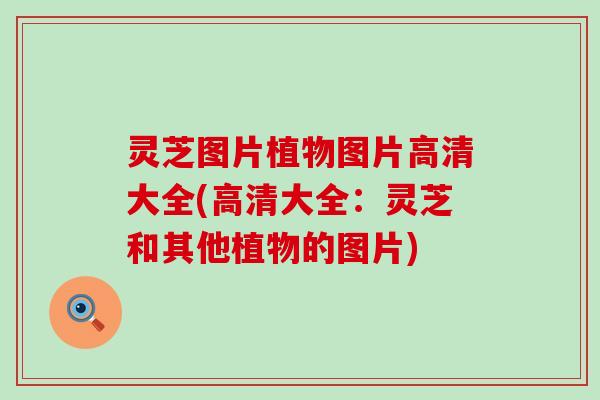 灵芝图片植物图片高清大全(高清大全：灵芝和其他植物的图片)