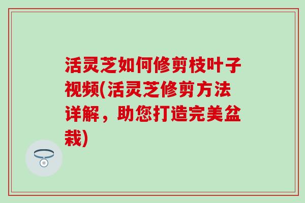 活灵芝如何修剪枝叶子视频(活灵芝修剪方法详解，助您打造完美盆栽)