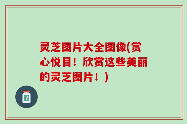 灵芝图片大全图像(赏心悦目！欣赏这些美丽的灵芝图片！)