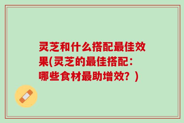 灵芝和什么搭配最佳效果(灵芝的最佳搭配：哪些食材最助增效？)