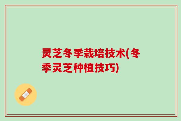 灵芝冬季栽培技术(冬季灵芝种植技巧)