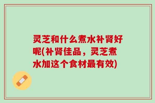 灵芝和什么煮水补肾好呢(补肾佳品，灵芝煮水加这个食材最有效)