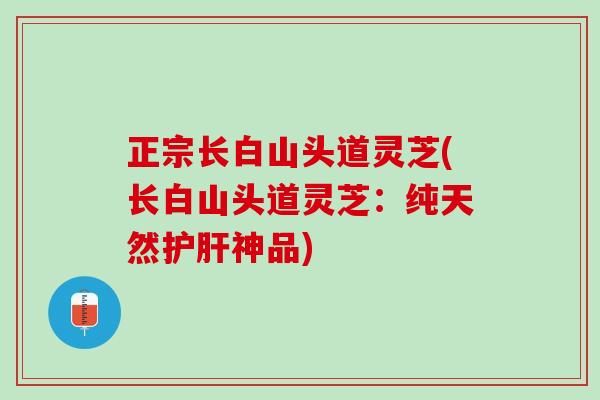 正宗长白山头道灵芝(长白山头道灵芝：纯天然护肝神品)