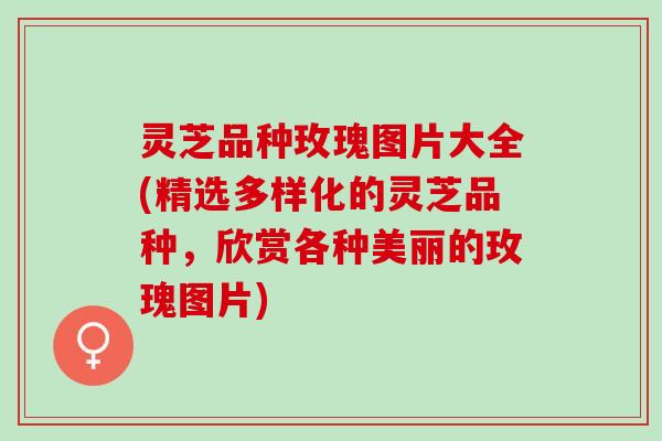 灵芝品种玫瑰图片大全(精选多样化的灵芝品种，欣赏各种美丽的玫瑰图片)