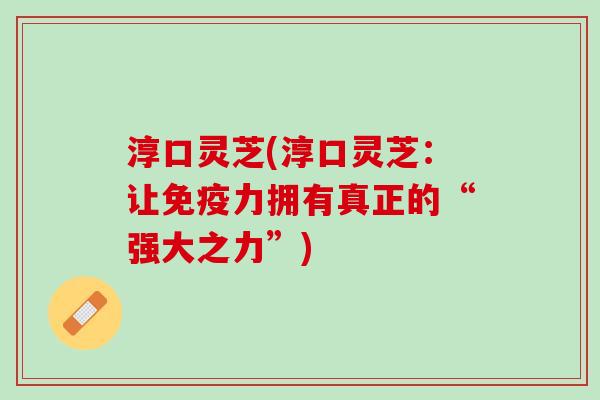 淳口灵芝(淳口灵芝：让拥有真正的“强大之力”)