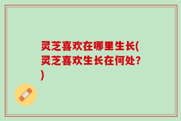 灵芝喜欢在哪里生长(灵芝喜欢生长在何处？)