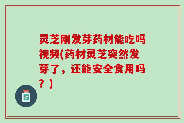 灵芝刚发芽药材能吃吗视频(药材灵芝突然发芽了，还能安全食用吗？)