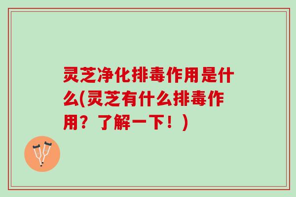 灵芝净化排毒作用是什么(灵芝有什么排毒作用？了解一下！)