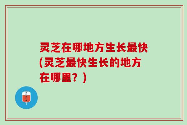 灵芝在哪地方生长最快(灵芝最快生长的地方在哪里？)