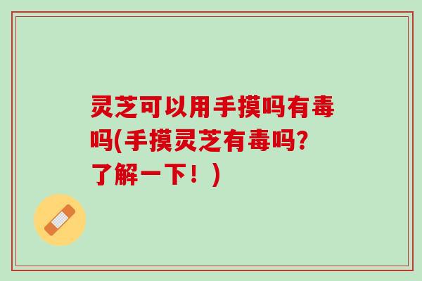 灵芝可以用手摸吗有毒吗(手摸灵芝有毒吗？了解一下！)