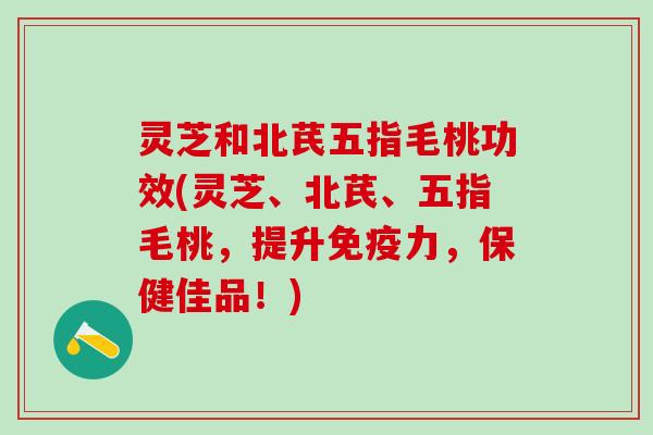 灵芝和北芪五指毛桃功效(灵芝、北芪、五指毛桃，提升免疫力，保健佳品！)