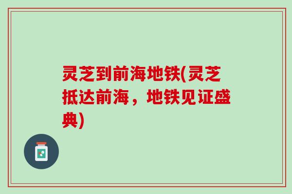 灵芝到前海地铁(灵芝抵达前海，地铁见证盛典)