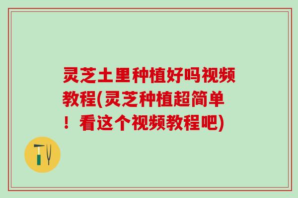 灵芝土里种植好吗视频教程(灵芝种植超简单！看这个视频教程吧)
