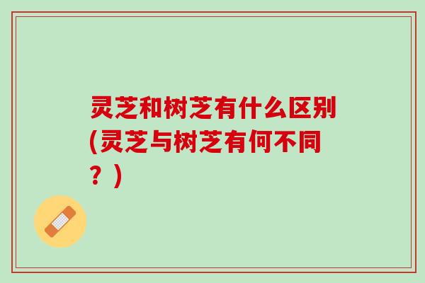 灵芝和树芝有什么区别(灵芝与树芝有何不同？)