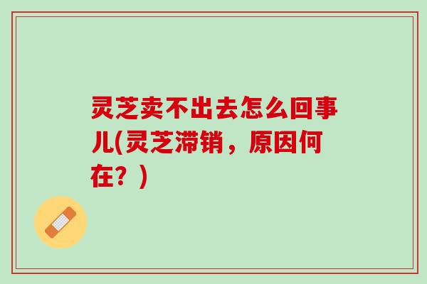 灵芝卖不出去怎么回事儿(灵芝滞销，原因何在？)