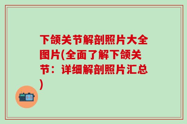下颌关节解剖照片大全图片(全面了解下颌关节：详细解剖照片汇总)
