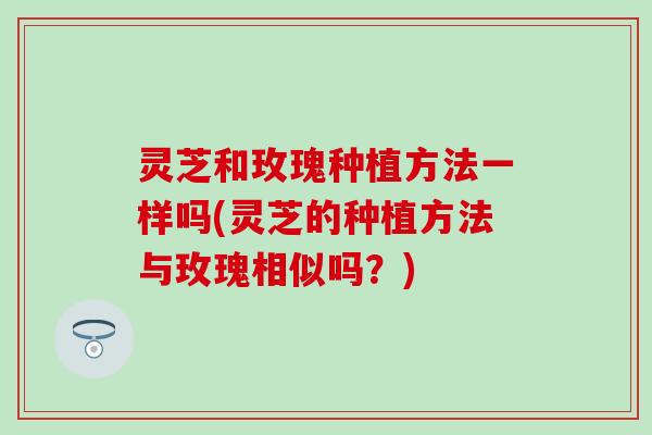 灵芝和玫瑰种植方法一样吗(灵芝的种植方法与玫瑰相似吗？)