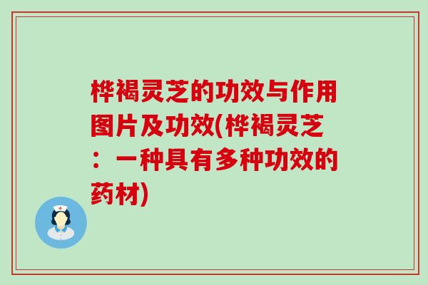 桦褐灵芝的功效与作用图片及功效(桦褐灵芝：一种具有多种功效的药材)