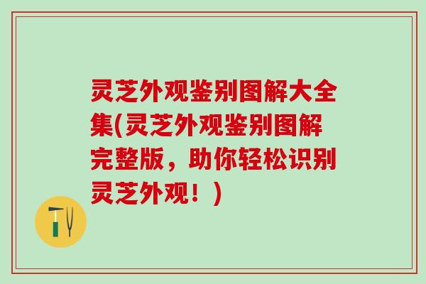 灵芝外观鉴别图解大全集(灵芝外观鉴别图解完整版，助你轻松识别灵芝外观！)