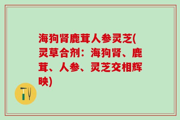 海狗肾鹿茸人参灵芝(灵草合剂：海狗肾、鹿茸、人参、灵芝交相辉映)