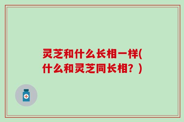 灵芝和什么长相一样(什么和灵芝同长相？)