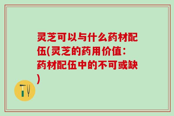 灵芝可以与什么药材配伍(灵芝的药用价值：药材配伍中的不可或缺)