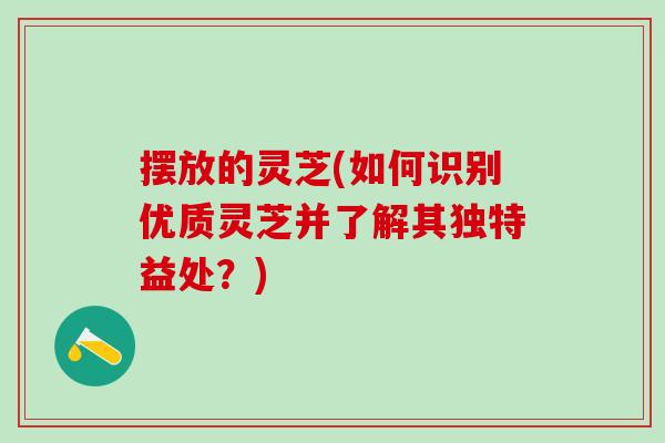 摆放的灵芝(如何识别优质灵芝并了解其独特益处？)