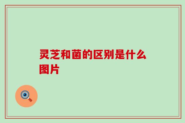 灵芝和菌的区别是什么图片