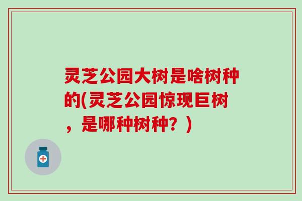 灵芝公园大树是啥树种的(灵芝公园惊现巨树，是哪种树种？)
