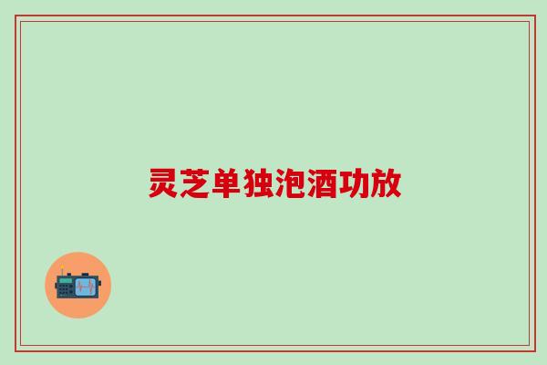 灵芝单独泡酒功放
