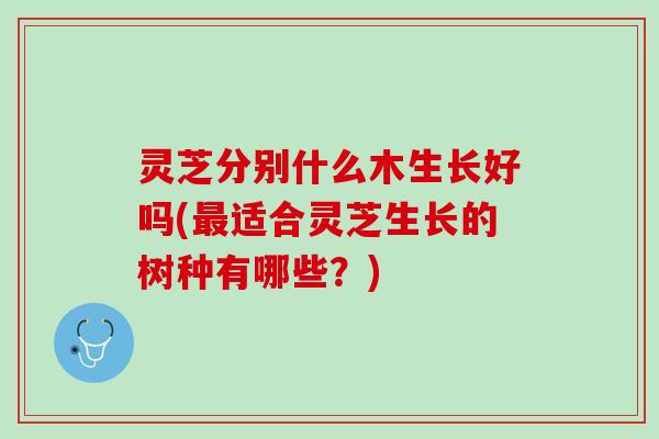 灵芝分别什么木生长好吗(适合灵芝生长的树种有哪些?) 灵芝分别什么木生长好吗(适合灵芝生长的树种有哪些?)