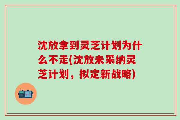 沈放拿到灵芝计划为什么不走(沈放未采纳灵芝计划，拟定新战略)